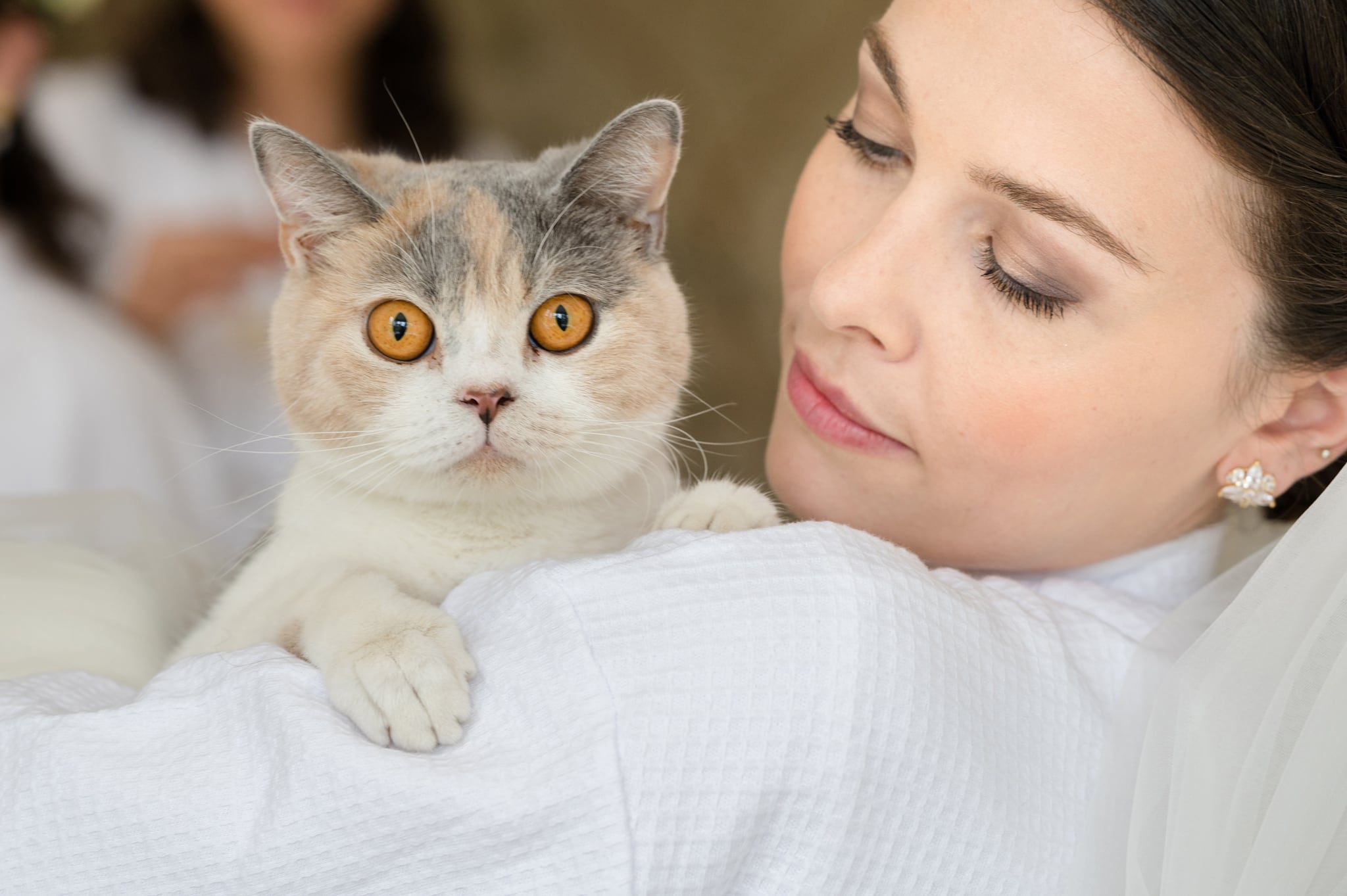 Bride and her tri-colour cat with bright orange eyes