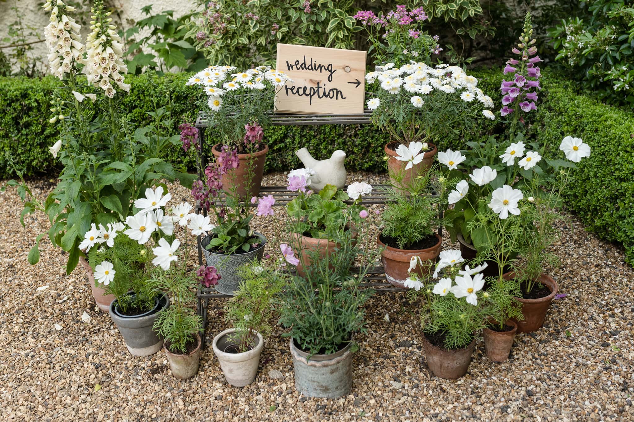 A wire stand brimming with potted plants with a 'wedding reception' arrow in the middle