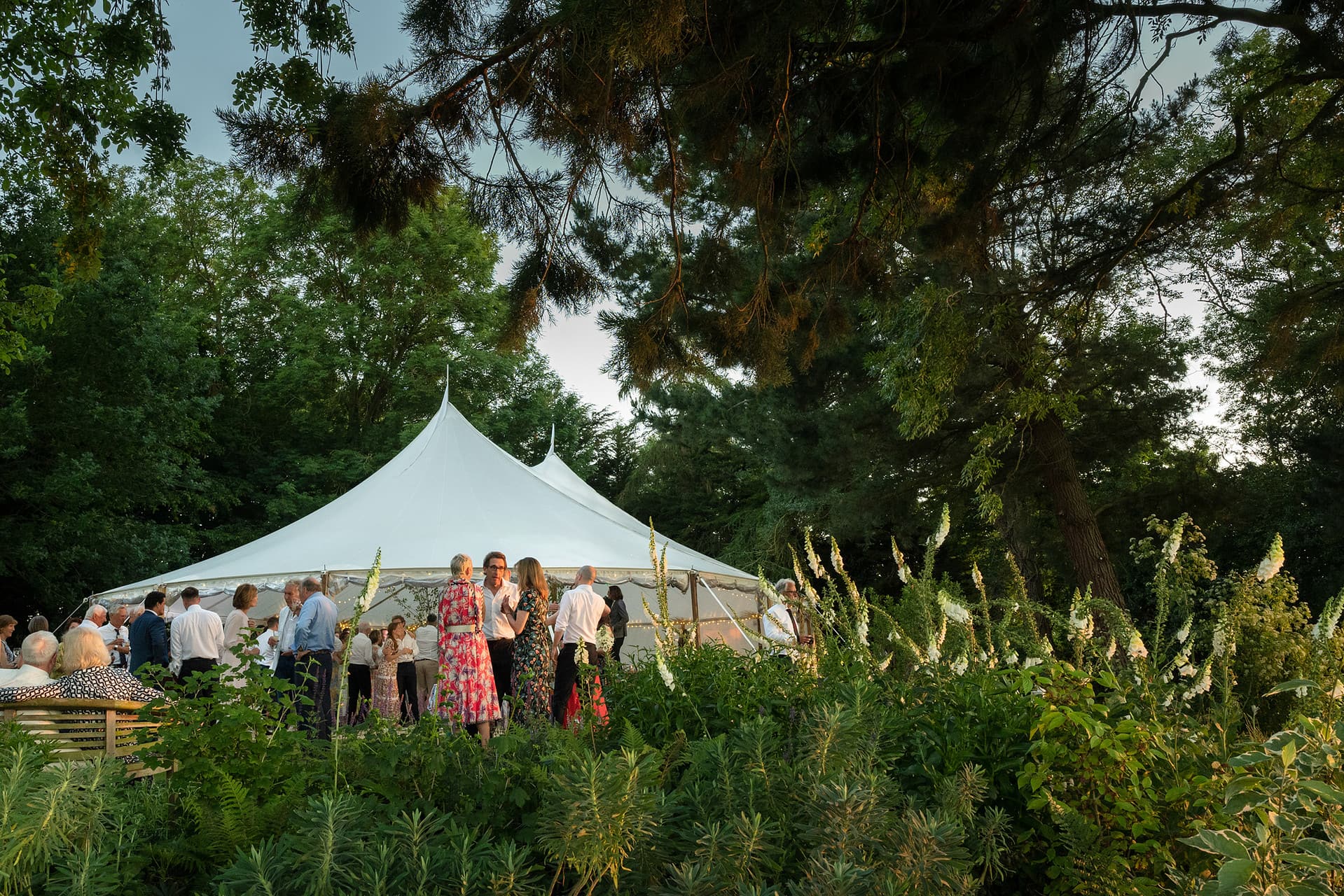 Sailcoth tent marquee surrounded by foxgloves