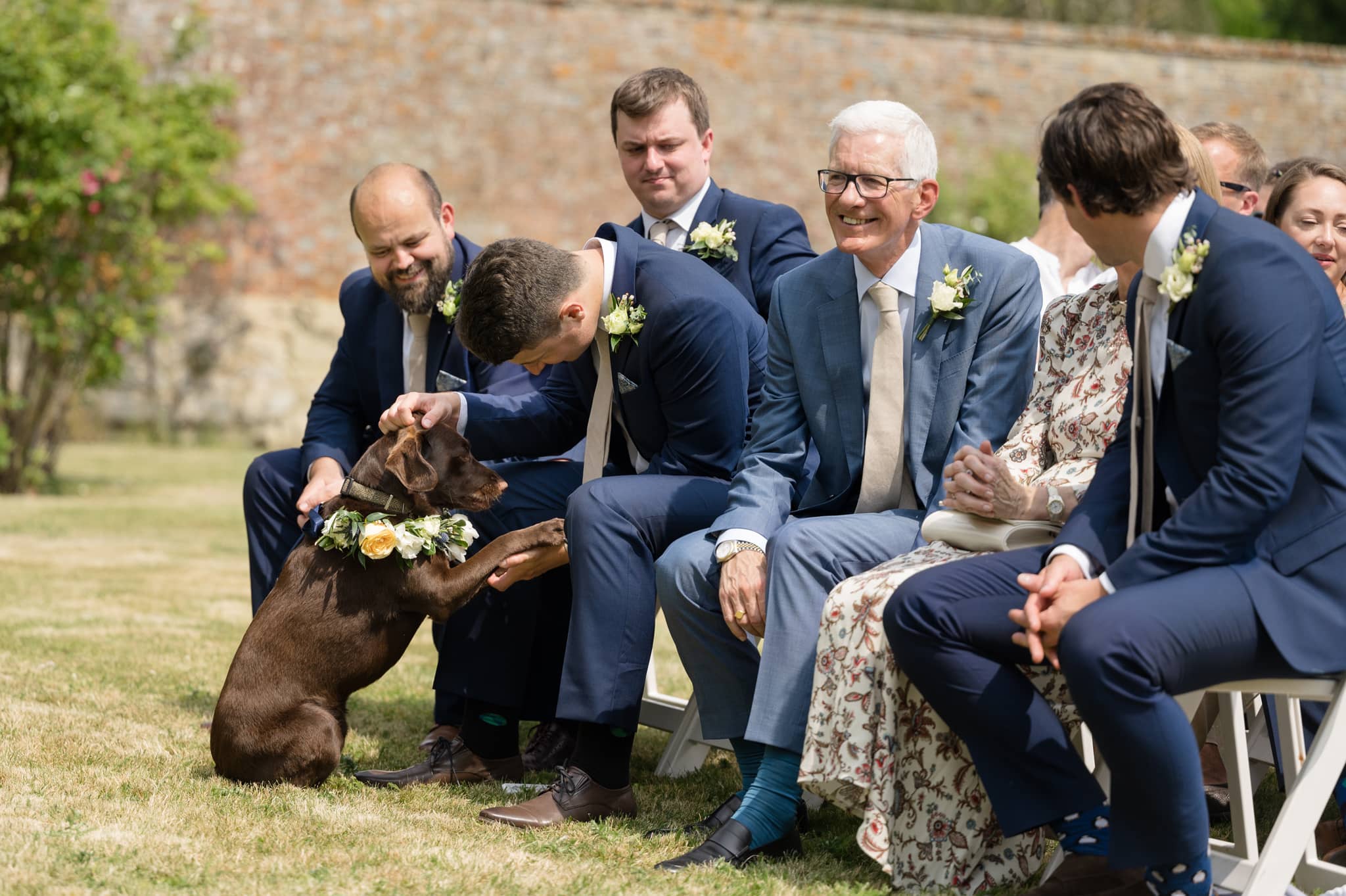 Bride and groom's ring-bearer dog getting a fuss from one of the ushers